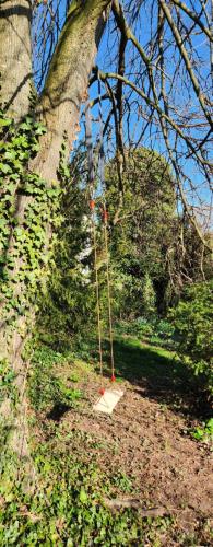 a swing in the woods next to a tree at Magisches Wachstein in Wachstein