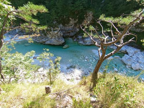 a river with blue water and a tree in the foreground at Appartamento Taverna Gattolini Venzone in Venzone