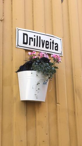 a flower pot hanging on a wall with a street sign at Stor attraktiv studioleilighet i sentrum in Trondheim