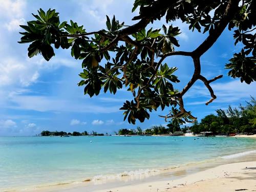 L`Oceano - 2 Bedrooms Apartment