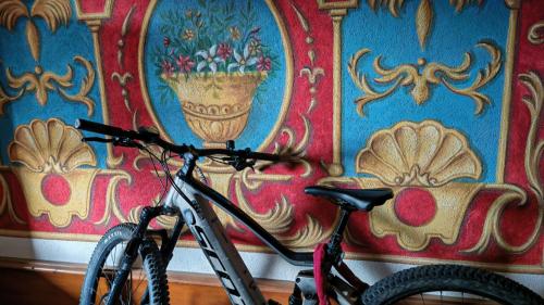 un vélo garé devant un mur dans l'établissement LES JARDINS ALPINS CHEZ Olivier, à Saint-Gervais-les-Bains