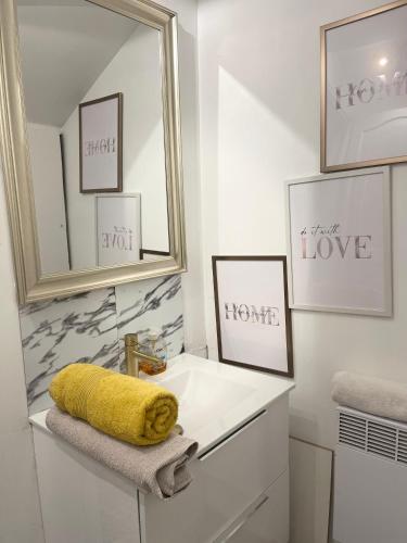 une salle de bain avec un lavabo et un miroir dans l'établissement Hyper centre ville 2 personnes Studio 1 pièce, à Bourges