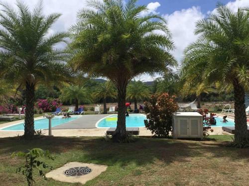 a resort with a swimming pool with palm trees at Great 1 bedroom apartment by the beach CHame, Playa Caracol in El Quindio