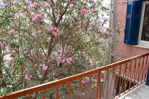 a tree with pink flowers next to a building at Aegina-town-old-center in Aegina Town