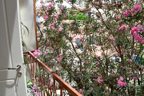 a bush with pink flowers on a balcony at Aegina-town-old-center in Aegina Town