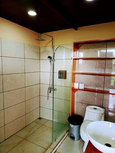 a bathroom with a shower and a toilet and a sink at Corcovado Accommodations-pool-best views-nature in Puerto Jiménez