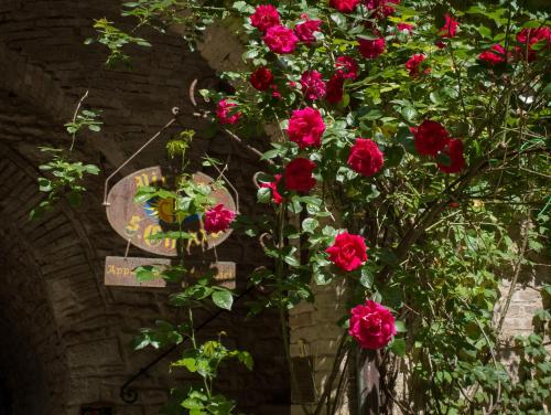 a bouquet of red roses in a brick wall at Appartamenti turistici Vicolo S. Chiara in Sassoferrato