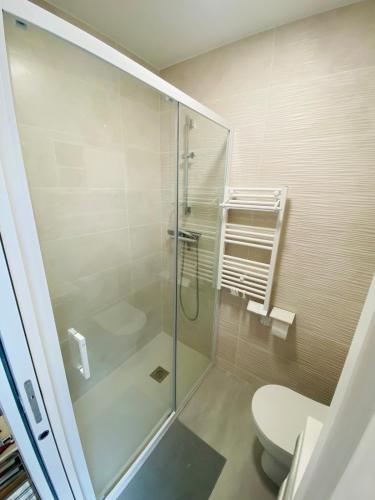 une salle de bain avec douche et toilettes dans l'établissement Appartement de 30m2 agréable et chaleureux, à Pérols