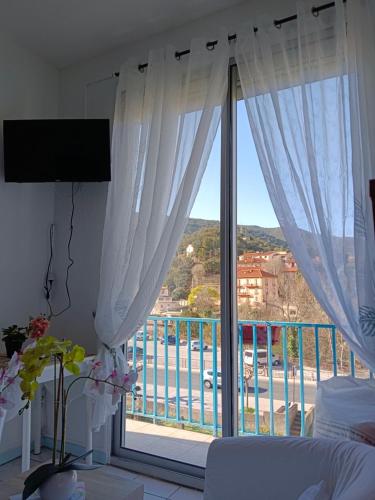 Cette chambre dispose d'une grande fenêtre donnant sur un balcon. dans l'établissement christiane cere, à Amélie-les-Bains-Palalda