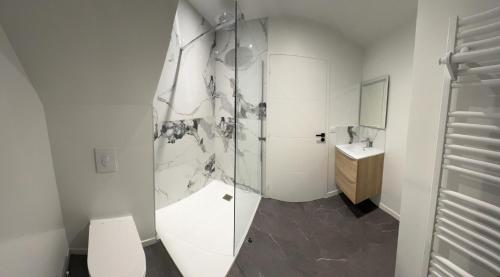 une salle de bain avec une douche, des toilettes et un lavabo dans l'établissement Le Gîte de la vilaine, à Sainte-Anne-sur-Vilaine