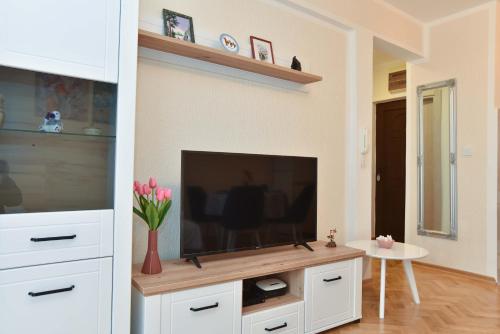 Μια τηλεόραση ή/και κέντρο ψυχαγωγίας στο COMFORT APARTMENT NEAR THE BEACH