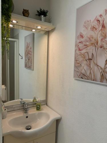 une salle de bain avec un lavabo et un miroir dans l'établissement Appartement avec piscine, à Grandcamp-Maisy