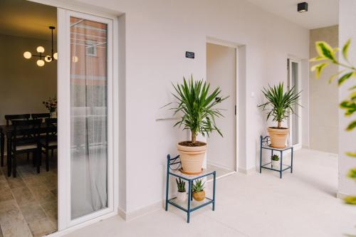 two potted plants sitting on tables in a hallway at Apartments Toni in Split
