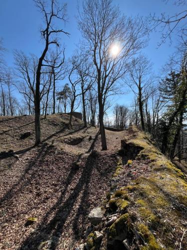 a hill with trees and the moon in the sky at Apartmány Naxarův dvůr in Horažďovice