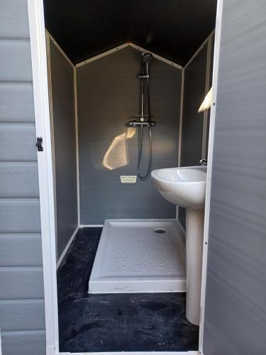 une petite salle de bain avec un lavabo et des toilettes dans l'établissement Caravane look Dolce Vita climatisée, à Gaudreville-la-Rivière