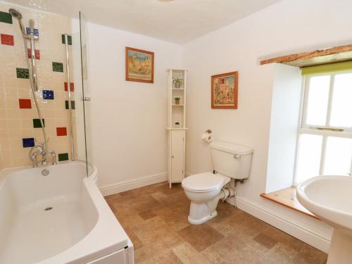a bathroom with a toilet and a sink at The Farmhouse in Ciliau-Aeron