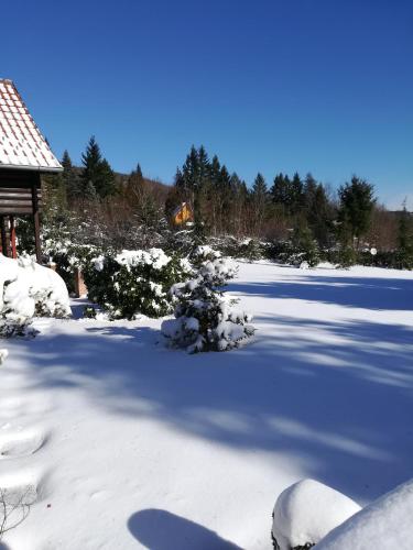 a snow covered yard with trees and a house at Ranch V8 Kosmaj in Rogača