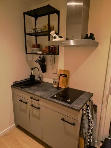 a kitchen with a sink and a counter top at Natuurhuisje 't Hoogbos - Weidezicht in Schijf