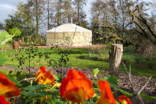 a yurt in the middle of a field with flowers at Yurt Klyndobbe in Veenwoudsterwal