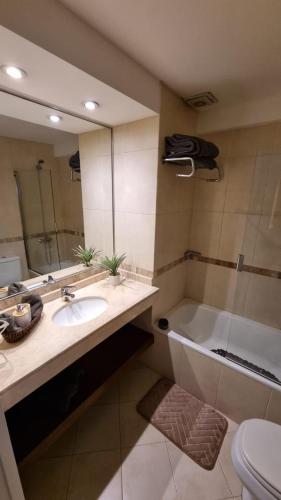 a bathroom with a sink and a tub and a mirror at Muy Hermoso Departamento en Recoleta in Buenos Aires