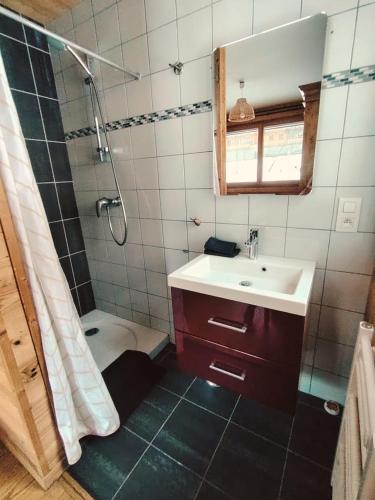 une salle de bain avec un lavabo et une douche dans l'établissement Appartement 3 chambres au doux soleil, aux Gets