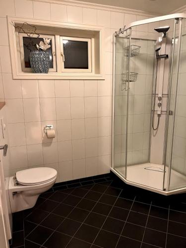 a bathroom with a toilet and a glass shower at Cozy house with sea view in Havsteinen