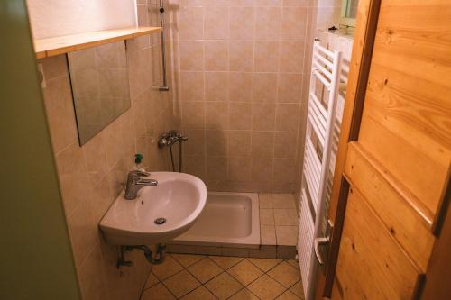 a small bathroom with a sink and a bath tub at Cottage for big groups, nature is calling in Bohinj