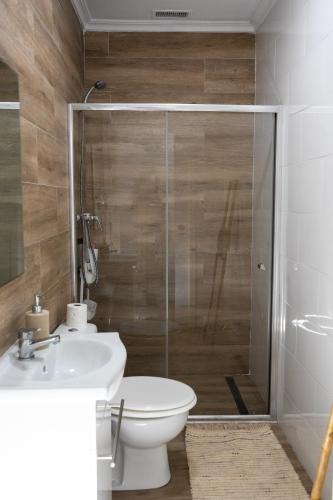 a bathroom with a shower and a toilet and a sink at Zabas FLAT in Alboraya
