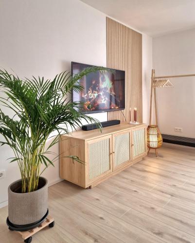 a living room with a tv and a potted plant at WillingenHOME in Willingen