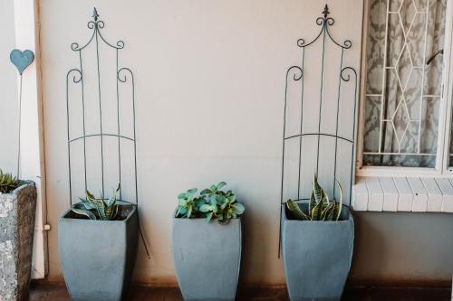 PostmasburgにあるLa Maison Guesthouseのギャラリーの写真