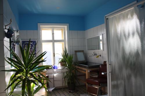 Gallery image of Chez Pierre in Lunz am See