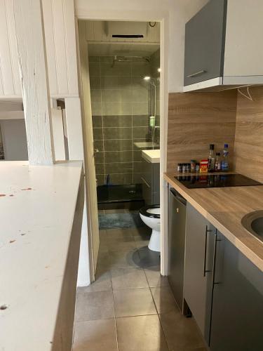 une petite salle de bain avec toilettes et lavabo dans l'établissement Joli logement très accueillant, à Nantes