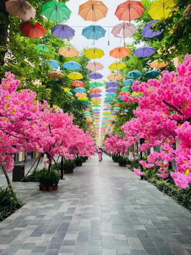 Κήπος έξω από το Lynn Times Thanh Thuỷ Phú Thọ khu nghỉ dưỡng khoáng nóng ONSEN