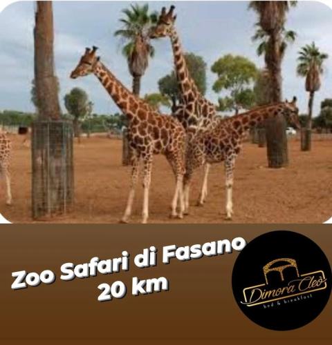 three giraffes standing in a field with palm trees at Dimora Cleó in Putignano