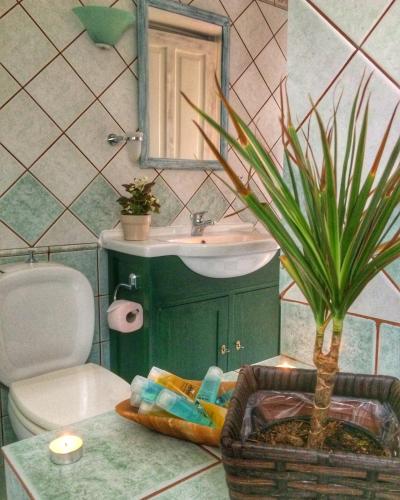 a bathroom with a sink and a toilet and a plant at Villa Del Sol in Asprogerakata