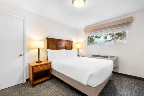 a bedroom with a white bed and a window at Best Western Driftwood Inn in Idaho Falls