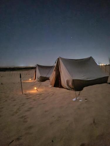 Природа в окрестностях кемпинга