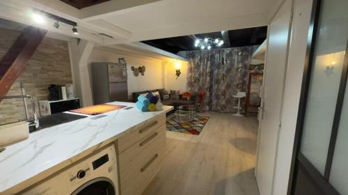 une cuisine et un salon avec laveuse et sécheuse dans l'établissement Cosy loft au coeur de Nantes centre ville, à Nantes