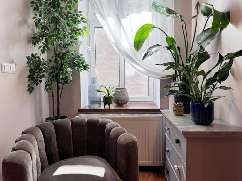 Apartament Haus Fortuna