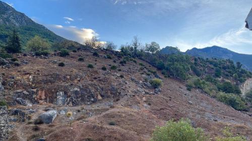 a rocky hill with trees and bushes on it at Luxurious apartment in Chefchaouene