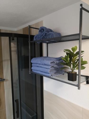 Fotografie z fotogalerie ubytování Ferienwohnung Elbflair v destinaci Riesa