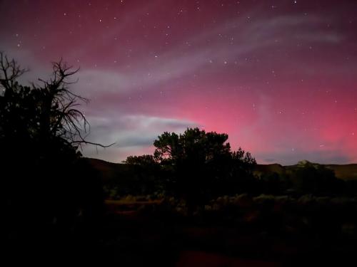 a purple and pink sky with trees in the foreground at Tiny Cabin #3 at The Cedars in Kanab