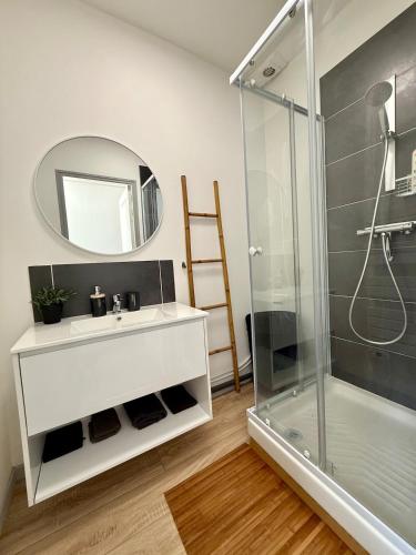 une salle de bain avec un lavabo et un miroir dans l'établissement Le Coin Jau Wifi Hyper Centre, à Bourges