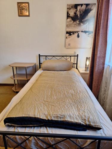 a bed with a metal frame in a bedroom at Darmstadt Living in Darmstadt
