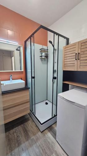 La salle de bains est pourvue d'une douche, d'un lavabo et d'un réfrigérateur. dans l'établissement Hyper Centre Apartment with Garage, au Mans