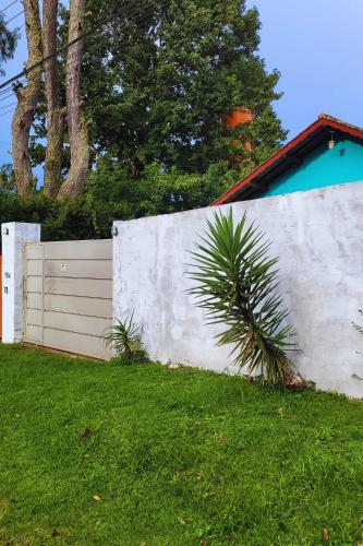 a white fence with a palm tree in a yard at Cantinho Dona Cleide in Monte Verde