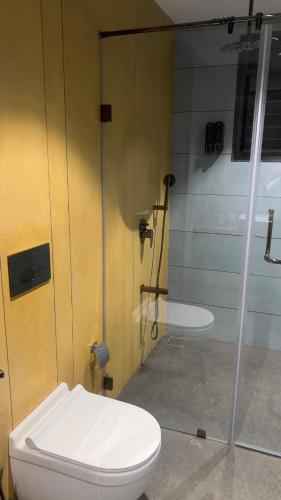 a bathroom with a toilet and a shower at Ved Villa Netflix, Pool, Chill in Panchgani