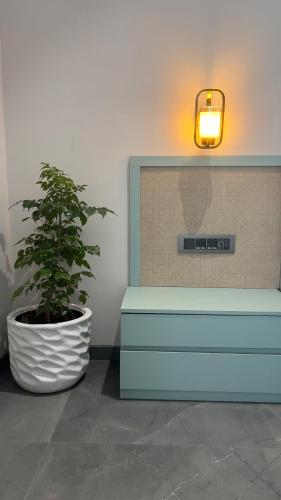 a plant in a pot next to a dresser at Ved Villa Netflix, Pool, Chill in Panchgani