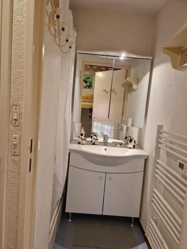 une salle de bain avec un lavabo blanc et un miroir dans l'établissement 