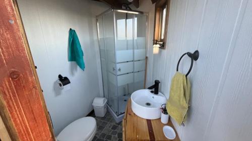 a bathroom with a toilet and a sink and a shower at Domo Tunquen in Tunquen